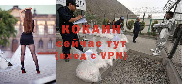 тгк Арсеньев