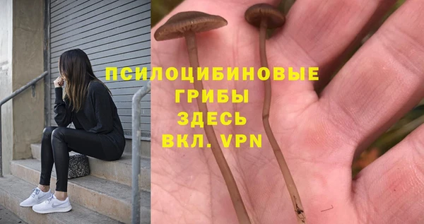 тгк Арсеньев