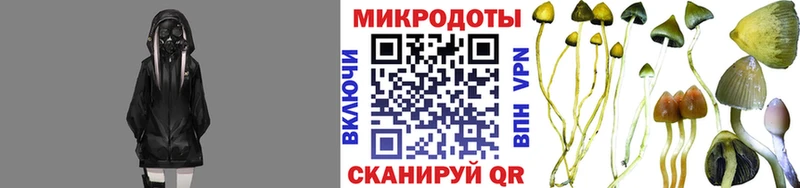 Псилоцибиновые грибы ЛСД  Купить  Урюпинск 