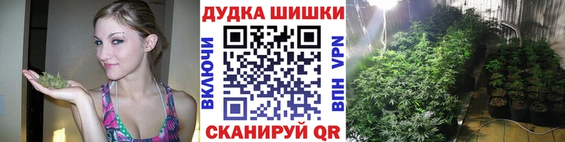 Купить где  Урюпинск  Канабис планчик 